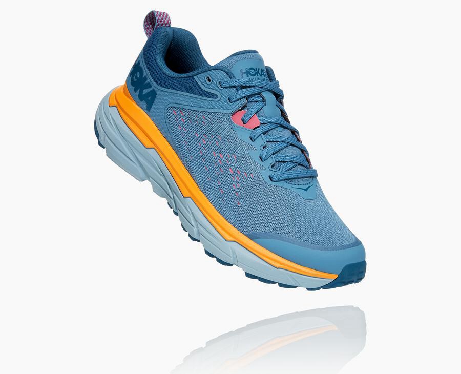 Hoka Womens Trail Shoes NZ - Hoka Challenger Atr 6 Blue (SNX473905)